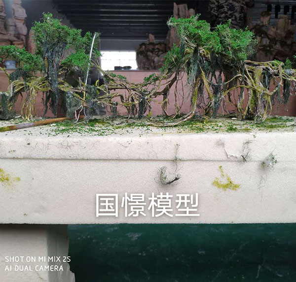 祁阳市场景模型