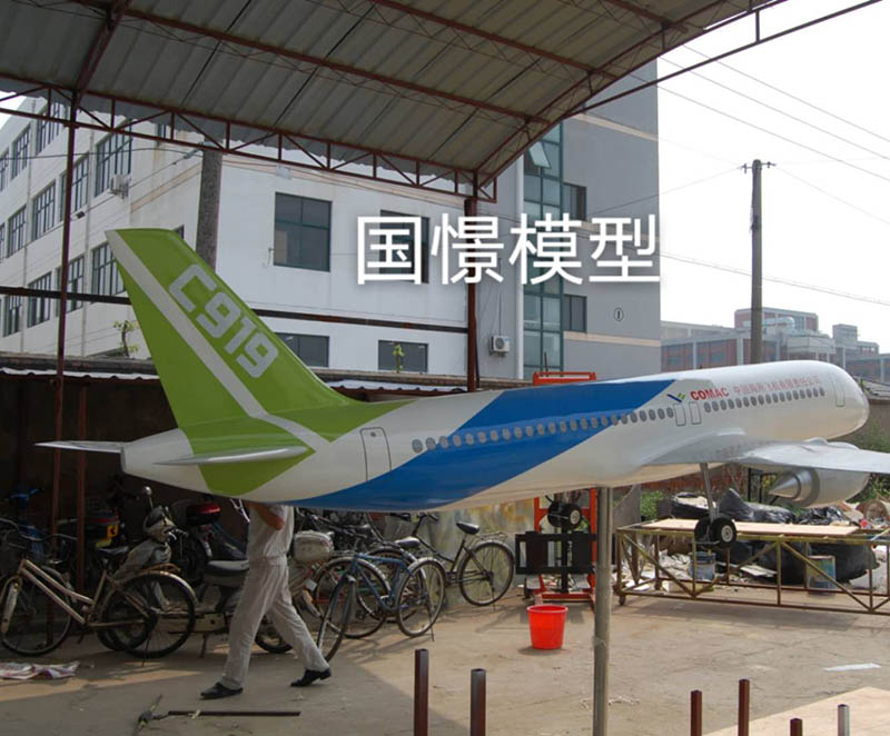 祁阳市飞机模型