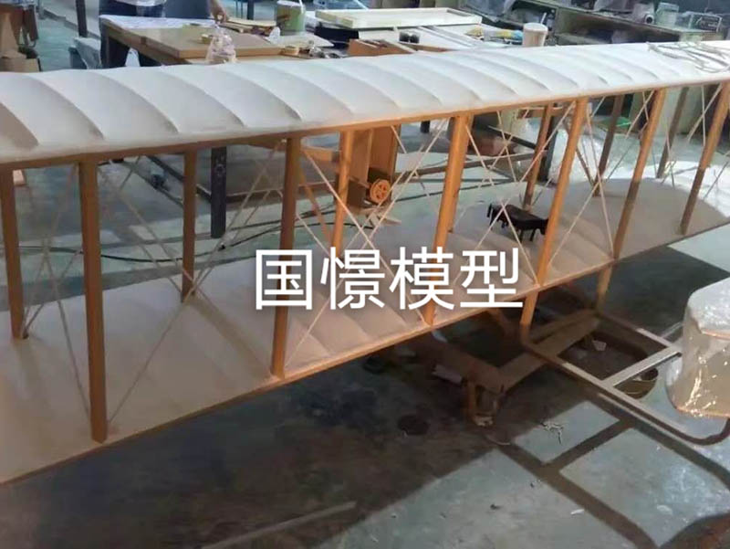 祁阳市飞机模型